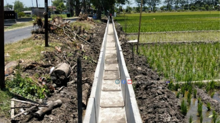 mediapuprngawi